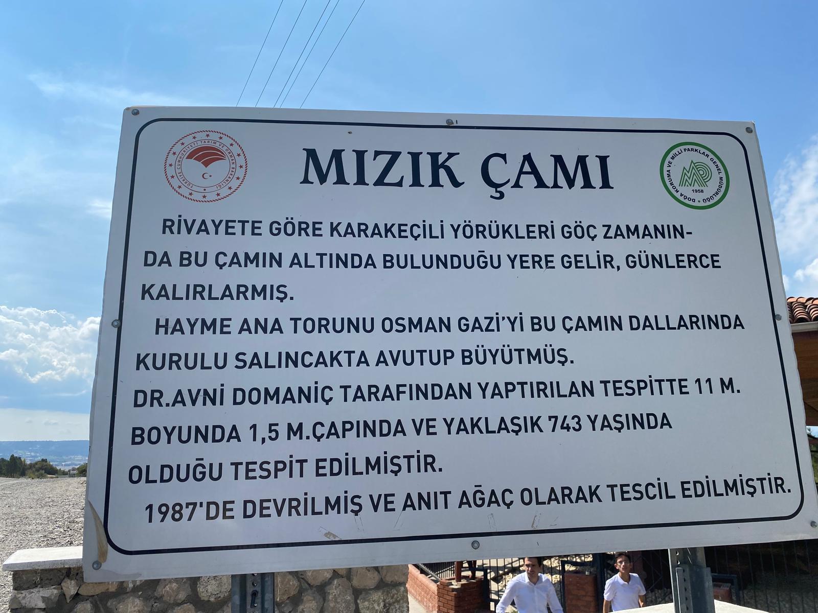 20.09.2024 Domaniç Beşik(Mızık) Çamı Ziyareti fotoğrafı 4